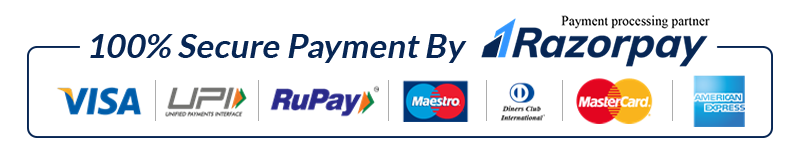 100% Secure Payment
